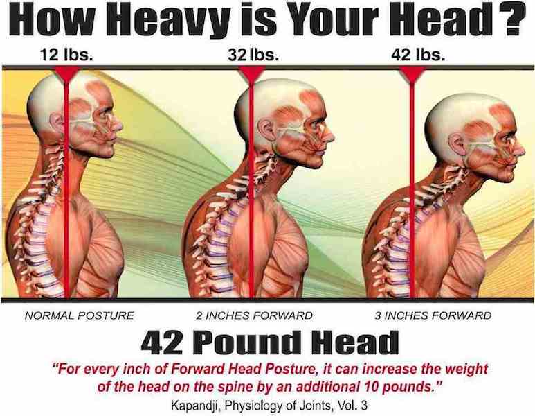 how-heavy-is-your-head img